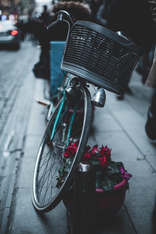 盆栽鲜花旁边停放的自行车 · 免费素材图片