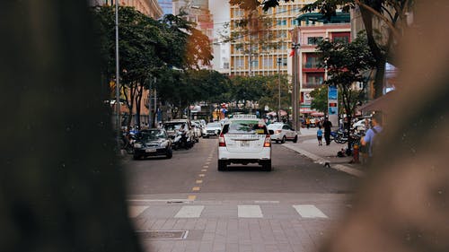 树木之间的道路上的白色车 · 免费素材图片