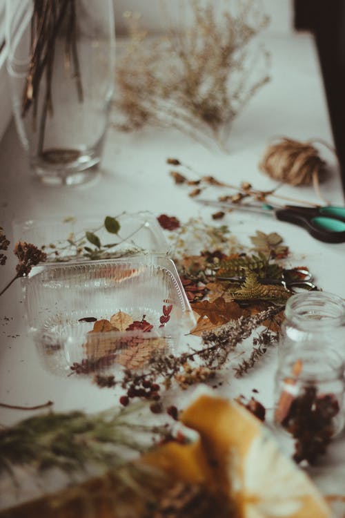 干叶在透明的塑料容器中 · 免费素材图片