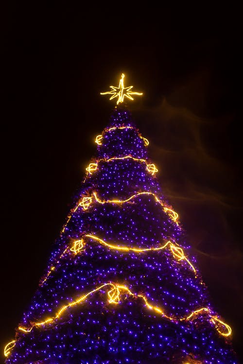 紫色和黄色点燃的圣诞树 · 免费素材图片