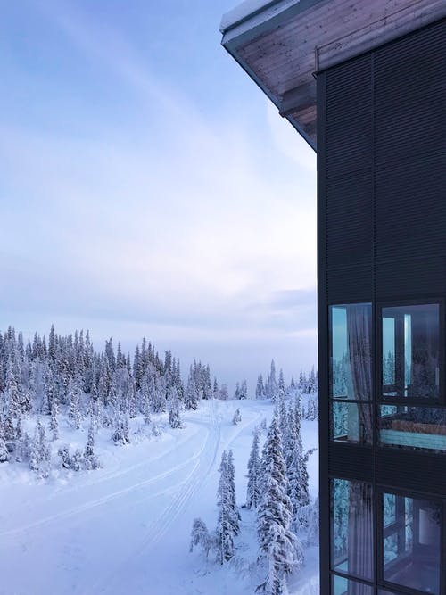 雪原 · 免费素材图片