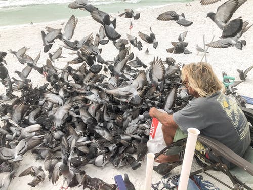 有关不露面, 休息, 全身的免费素材图片