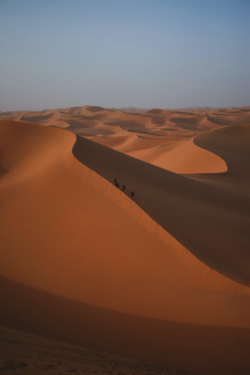 白天在沙漠中行走的人 · 免费素材图片