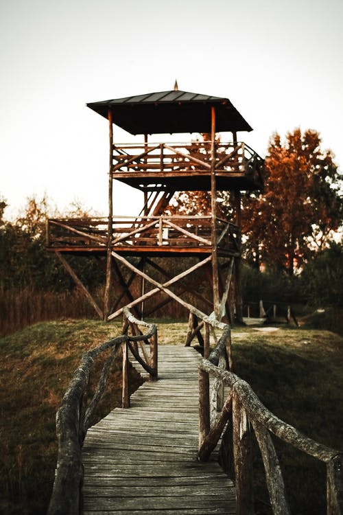 木桥照片 · 免费素材图片