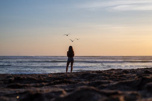 女人凝视着海景 · 免费素材图片