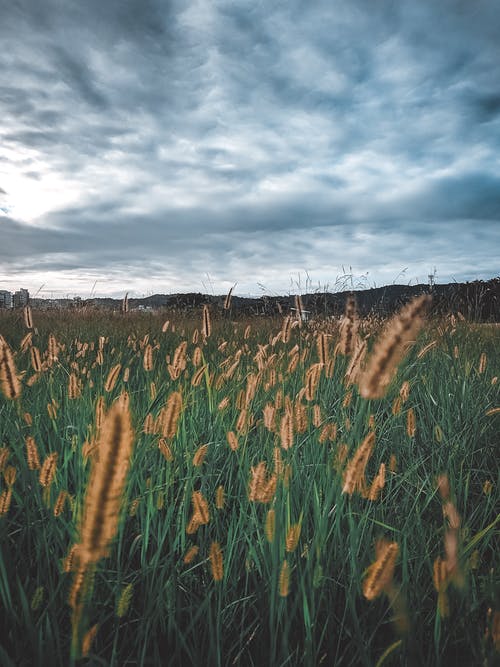 有关乌云, 冷静, 华丽的的免费素材图片