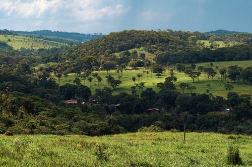 有关光, 冷静, 和平的免费素材图片