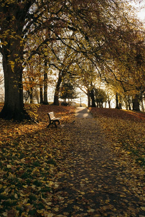 有关下落, 人行道, 充满活力的免费素材图片