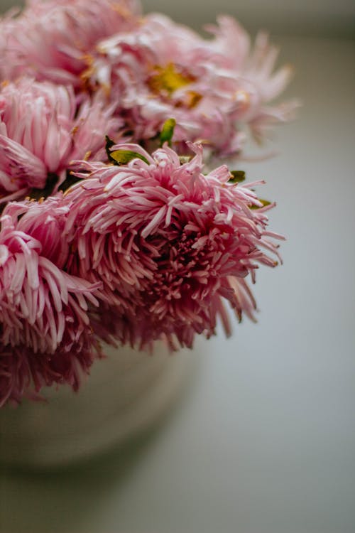 有关优雅, 创作的, 垂直拍摄的免费素材图片