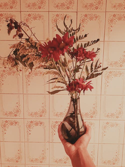 有关一串, 人, 味道的免费素材图片