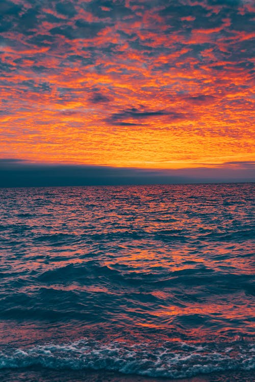 有关假日, 假期, 充满活力的免费素材图片