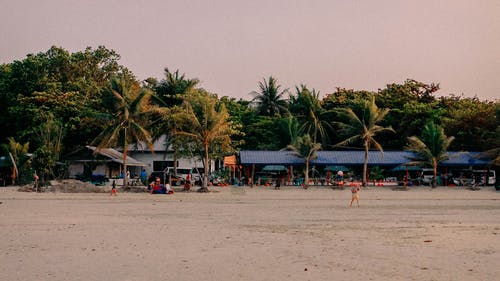 有关假期, 冷静, 丛林的免费素材图片