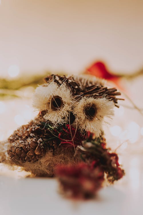 有关冬季, 冰淇淋甜筒, 动物的免费素材图片