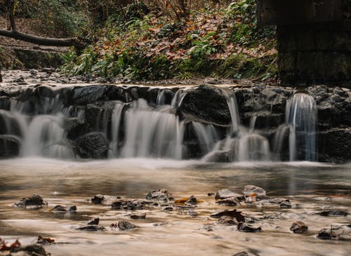 有关下落, 低, 公园的免费素材图片