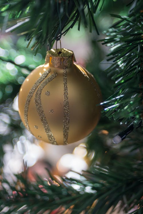 绿色圣诞树上的金摆设 · 免费素材图片