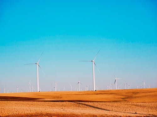 有关乾旱, 乾的, 供应的免费素材图片