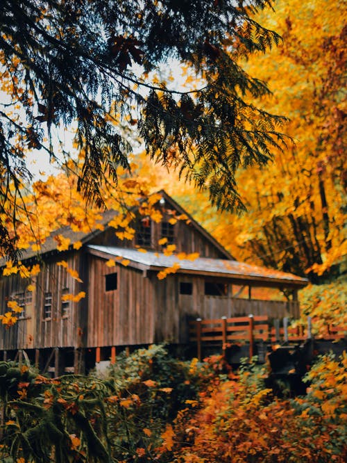 有关下落, 公园, 冷静的免费素材图片