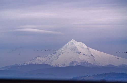 有关冷静, 和平的, 地形的免费素材图片