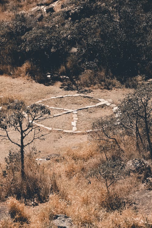 有关下落, 乾的, 分公司的免费素材图片