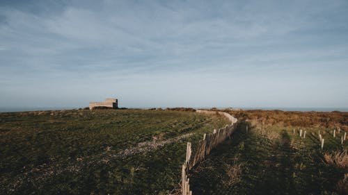 有关冷静, 和平的, 和谐的免费素材图片