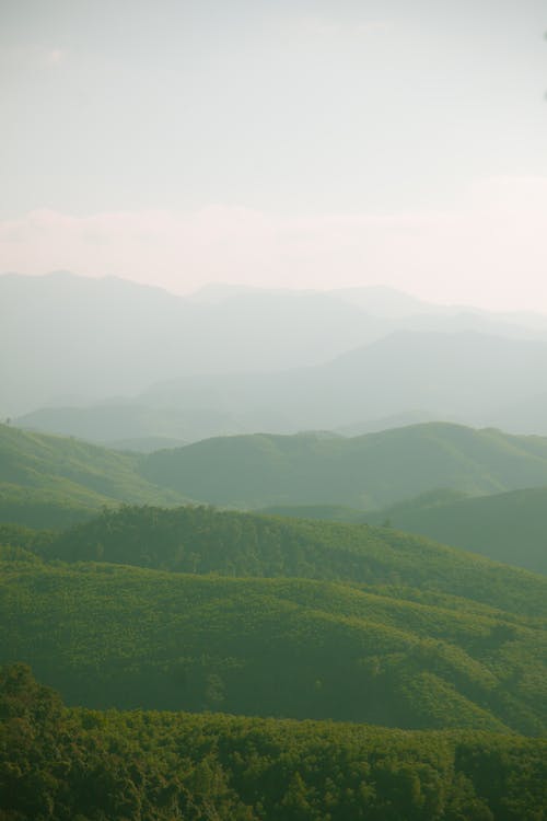 有关4k 桌面, 土地, 天性的免费素材图片
