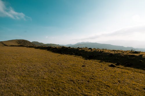 有关triduong, 天性, 天空的免费素材图片