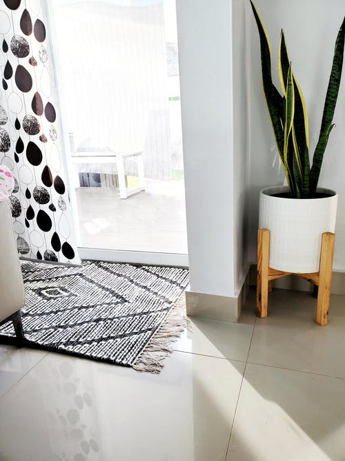 白色陶瓷锅上的绿色植物 · 免费素材图片