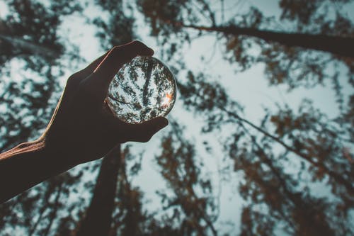 在森林里播种与反射水晶球的人 · 免费素材图片