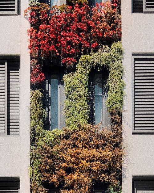 现代建筑的外部装饰着五颜六色的植物 · 免费素材图片