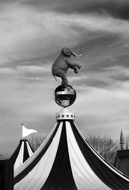 马戏团大顶上的大象雕像 · 免费素材图片