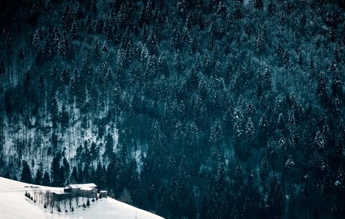 在冬天山与树附近的小房子 · 免费素材图片