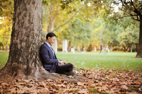 男子坐在地上的一棵树上，用一台笔记本电脑的侧视图照片 · 免费素材图片