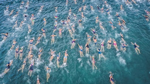 挑战期间人们在清澈的水中游泳 · 免费素材图片
