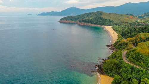 海洋从无人机异国情调的绿色海岸线 · 免费素材图片