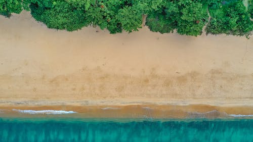 海洋空中沙质海岸 · 免费素材图片