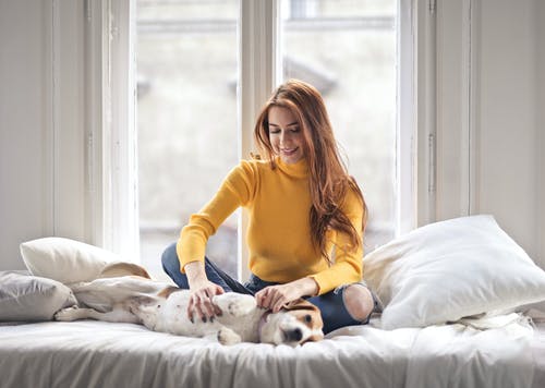 微笑的女人，穿着黄色的高领毛衣，坐在床上抚摸着她的狗的照片 · 免费素材图片