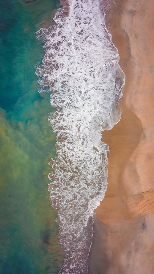 在沙滩上的泡沫潮 · 免费素材图片