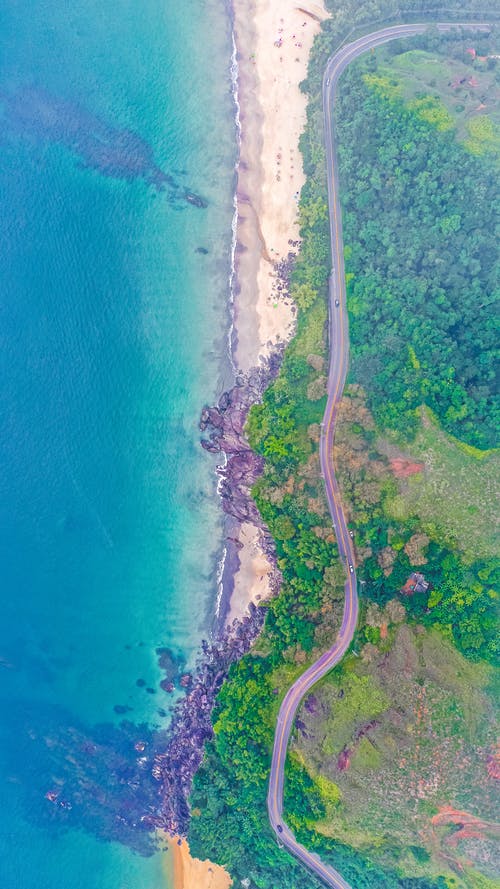 和平的偏远海岸线，绿树成荫 · 免费素材图片