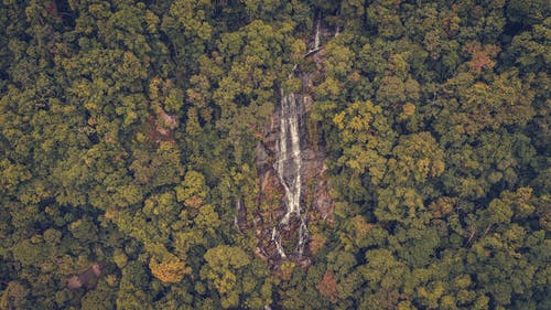 瀑布在森林山上的鸟瞰图 · 免费素材图片