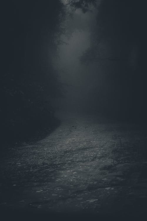 在黑暗的森林里的神秘幽灵般的车道 · 免费素材图片