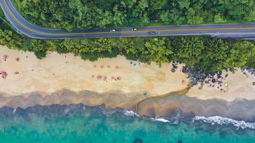 在树林里的热带海岸线上的偏僻路 · 免费素材图片