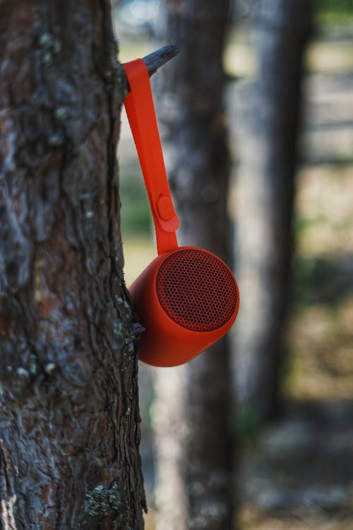 挂在树干上的蓝牙扬声器 · 免费素材图片