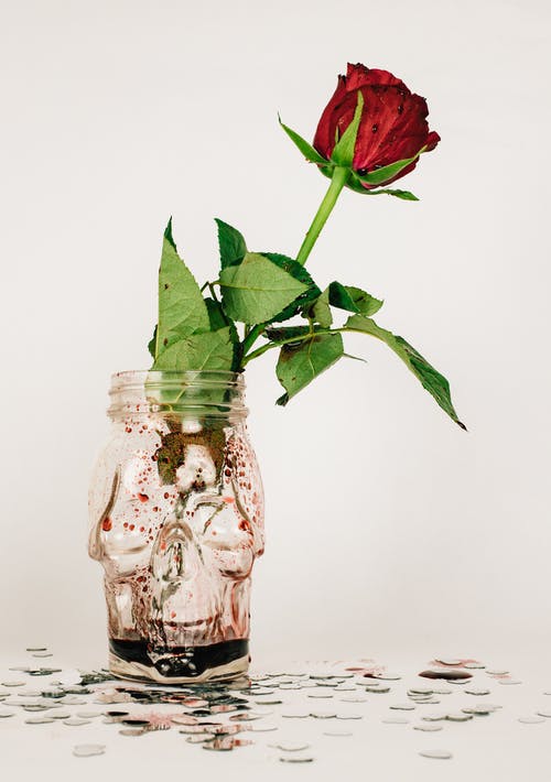 透明玻璃罐中的红玫瑰 · 免费素材图片