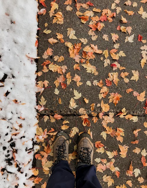 作物在地面上有叶子和雪的人 · 免费素材图片
