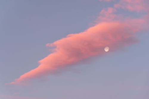 天空中的满月 · 免费素材图片