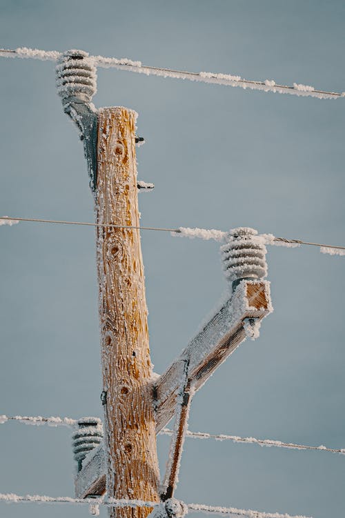 电桩和雪覆盖的电线 · 免费素材图片