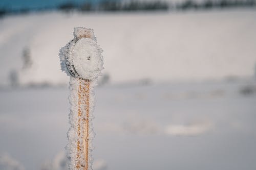 棕色木棍上的白雪 · 免费素材图片
