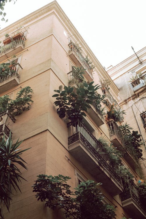 有关公寓楼, 园林植物, 垂直拍摄的免费素材图片