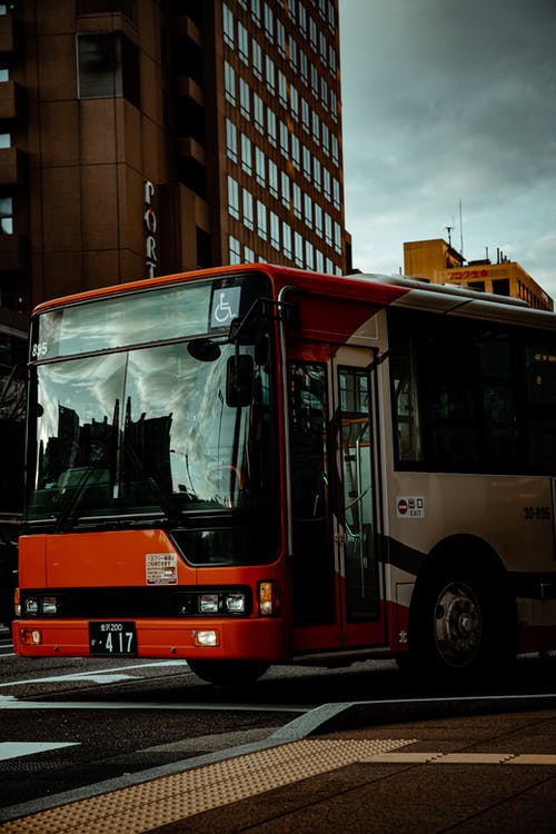 道路上的红色巴士 · 免费素材图片