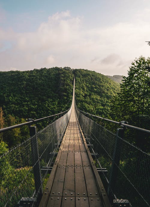 绿树棕色木桥 · 免费素材图片